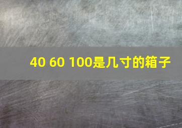 40 60 100是几寸的箱子